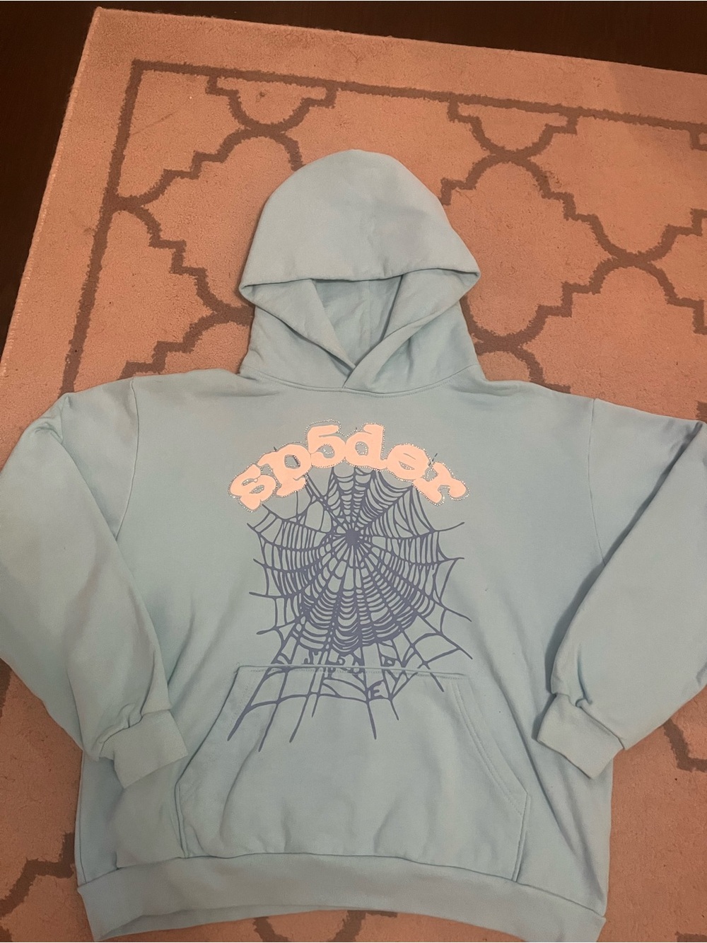 Light Blue Spider Graphic Hoodie